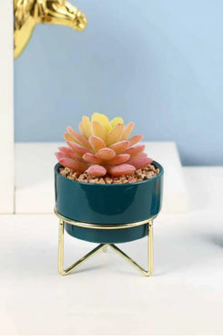 Artificial Succulent  With Ceramic Pot 25cm