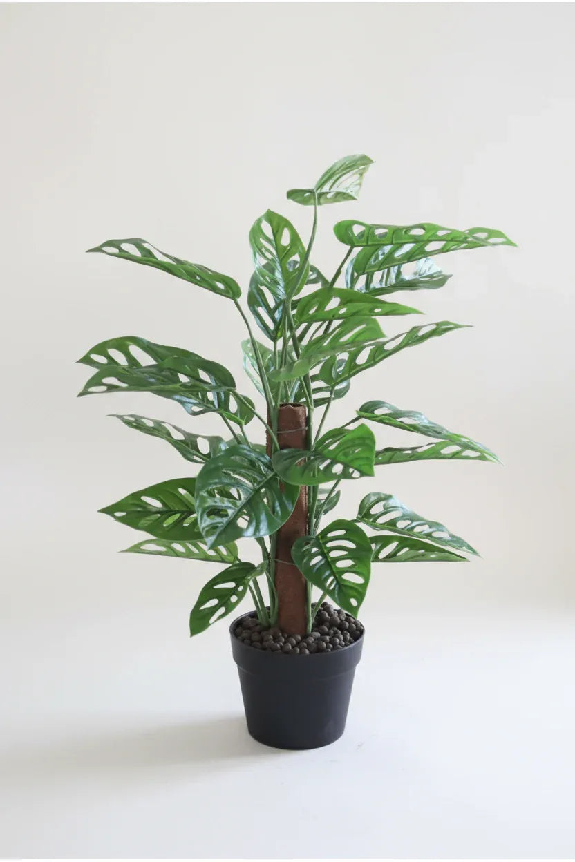 Artificial Monstera on A  pole Plant 60cm