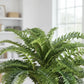 Artificial Large Boston Fern Plant Without Pot 55cm