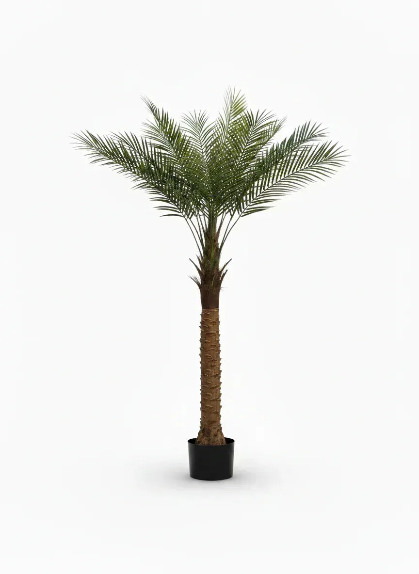 Artificial Date Palm Plant With Pot 180cm