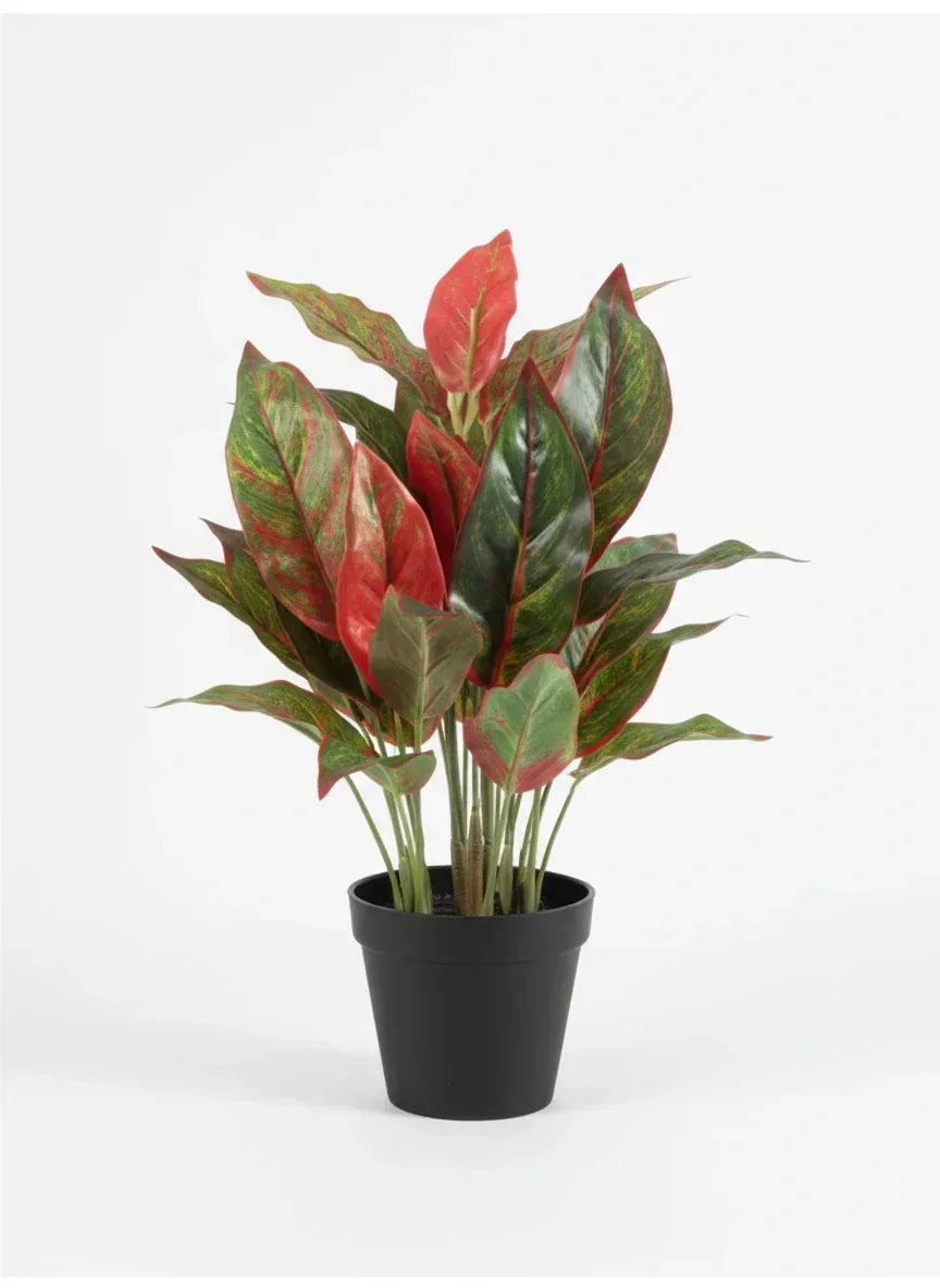 Artificial Arrow Root Plant With Plastic Pot 42cm