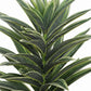 Real Touch Dracaena Artificial Plant  Without Pot 48cm