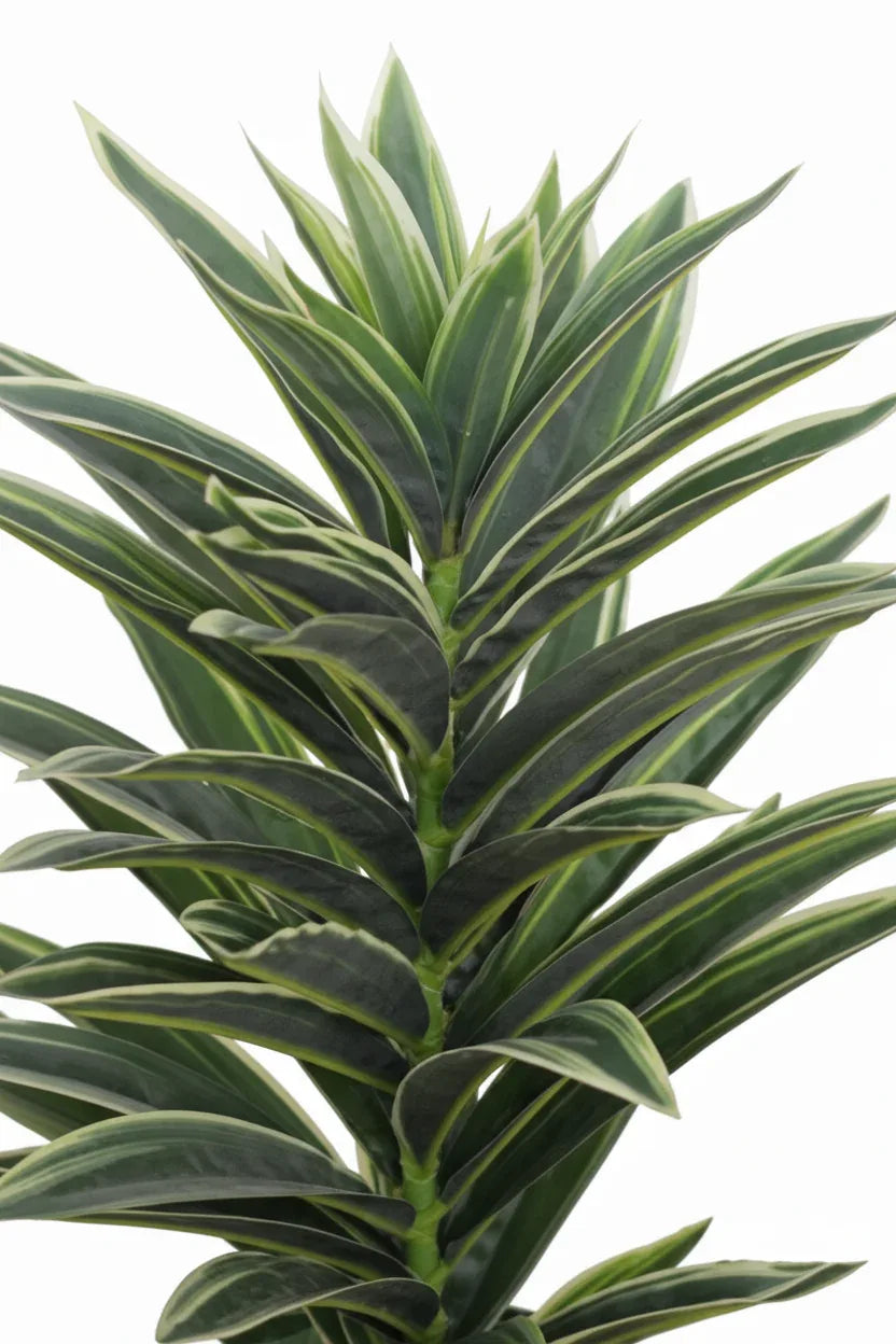 Real Touch Dracaena Artificial Plant  Without Pot 48cm
