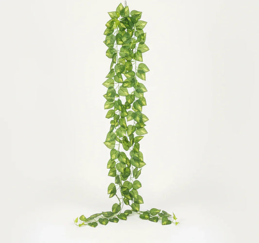 Artificial Pothos Bale 180cm