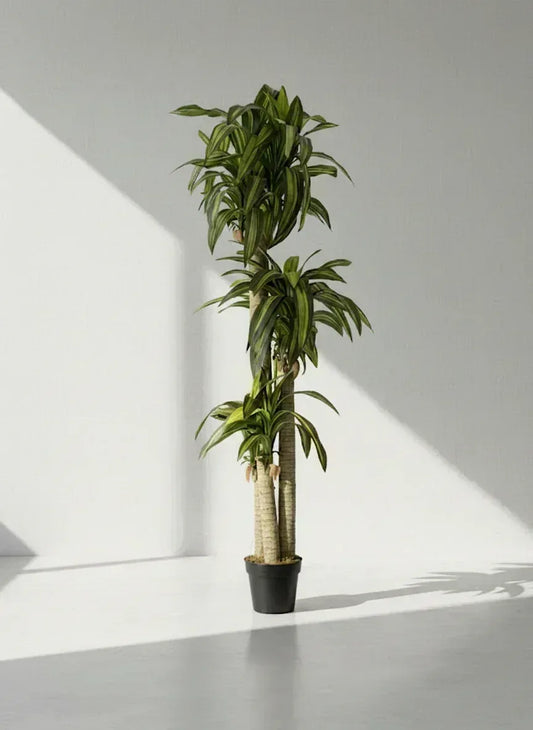 Artificial Cordyline  Green Plant With Pot 176cm