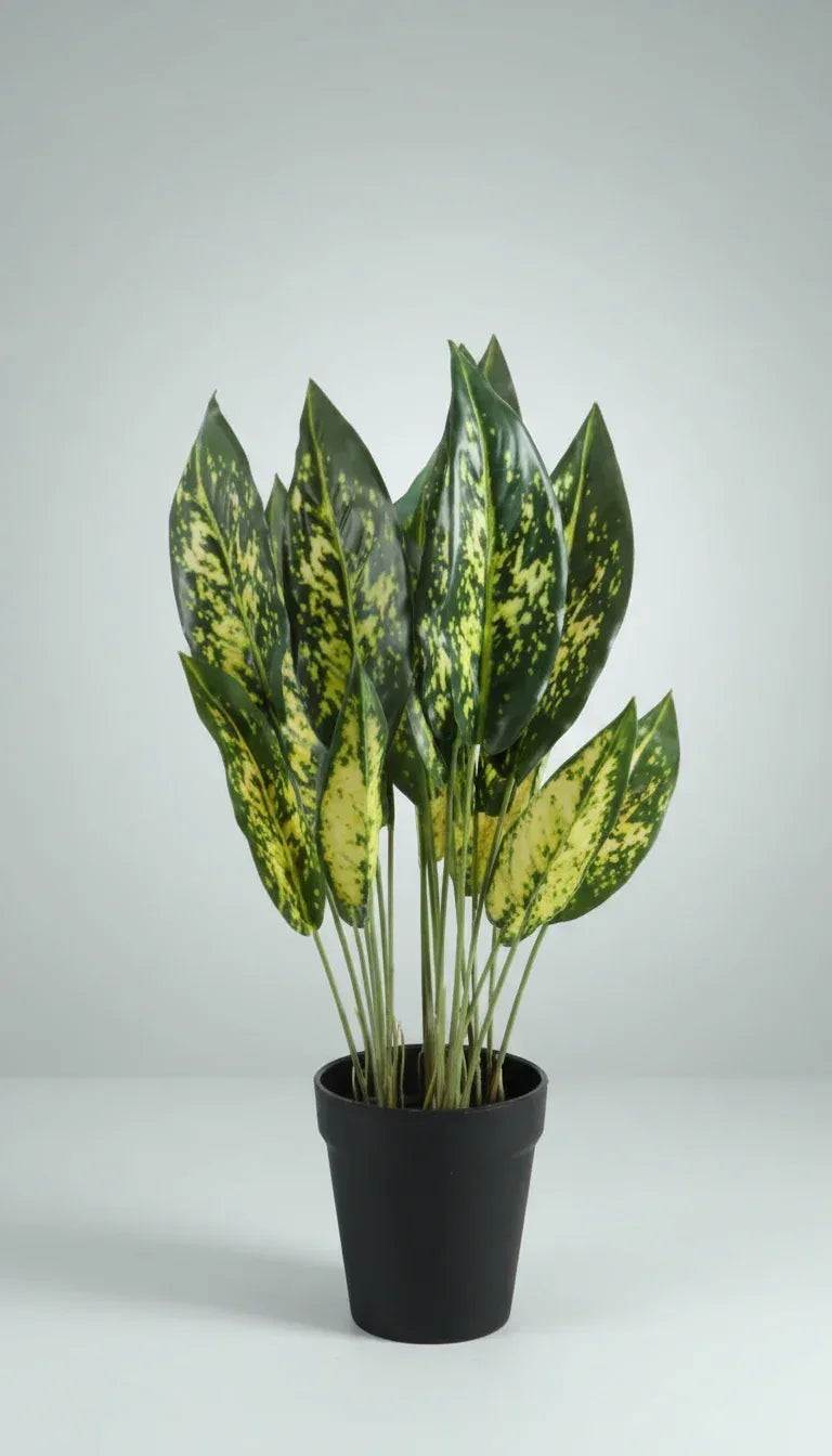 Artificial Arrow Root Plant With Plastic Pot 42cm