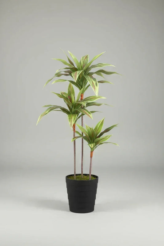 Artificial Dracaena Plant (Yellow) Without Pot 100cm
