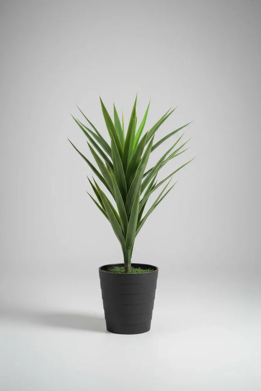 Artificial Yucca Plant Without Plant 75cm