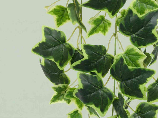 Artificial Ivy Yellow Creeper 95 cm
