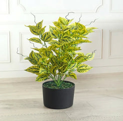 Artificial Caladium Yellow Plant Without Pot 60cm
