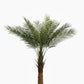 Artificial Date Palm Plant With Pot 180cm