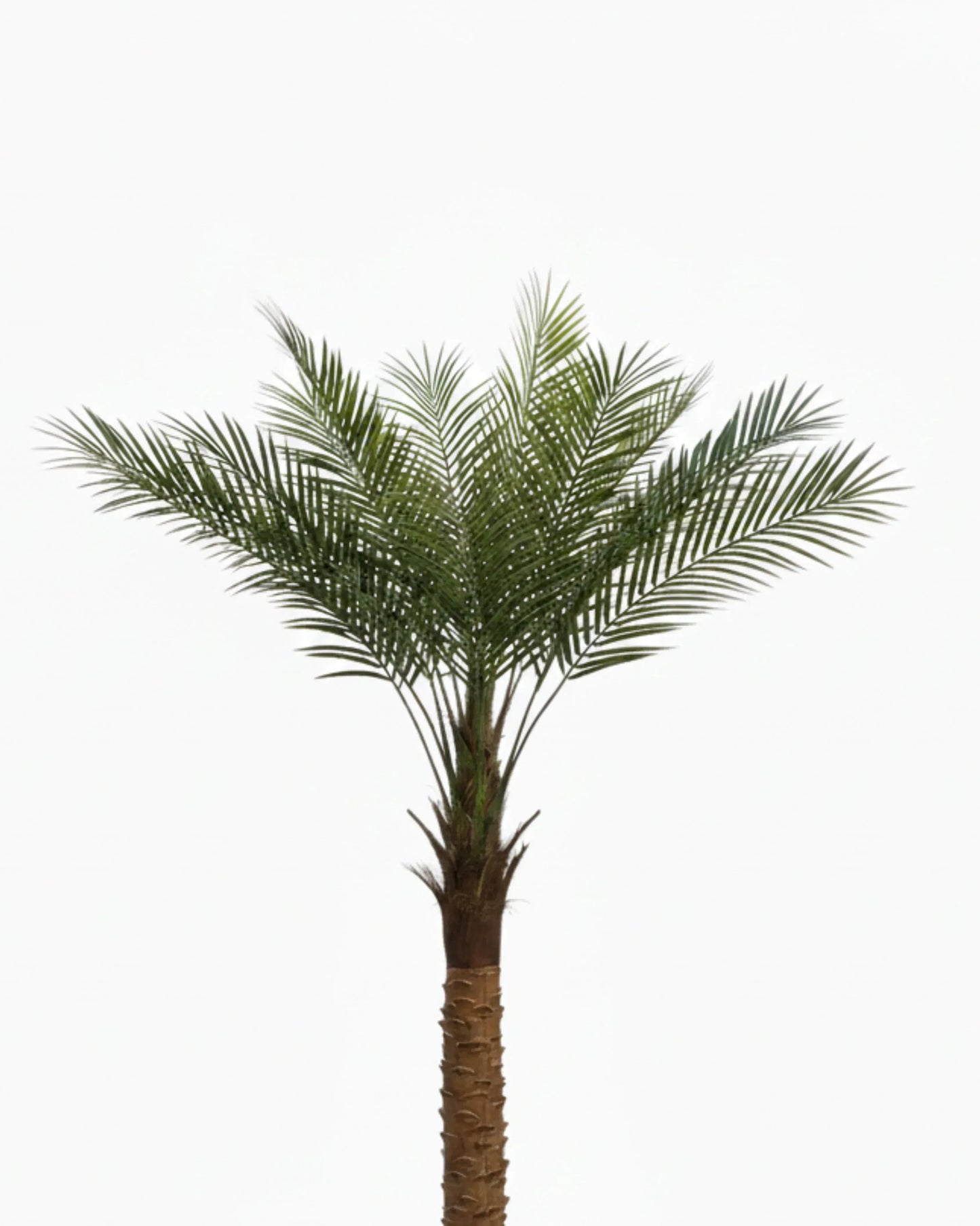 Artificial Date Palm Plant With Pot 180cm