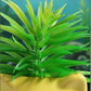 Artificial Succulent With Ceramic Pot 15cm
