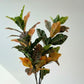 Artificial Croton With Pot 95cm