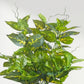 Artificial Pothos Plant Without Pot 45cm