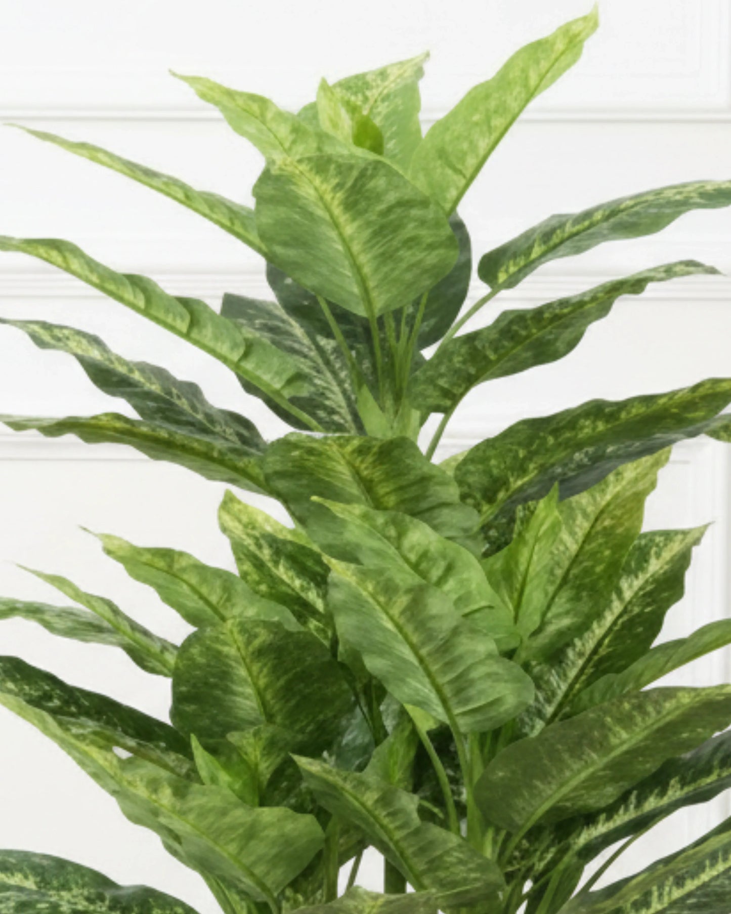 Artificial Dieffenbachia Yellow Plant 130cm