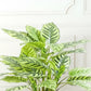 Artificial Peacock Plant 80cm without Pot