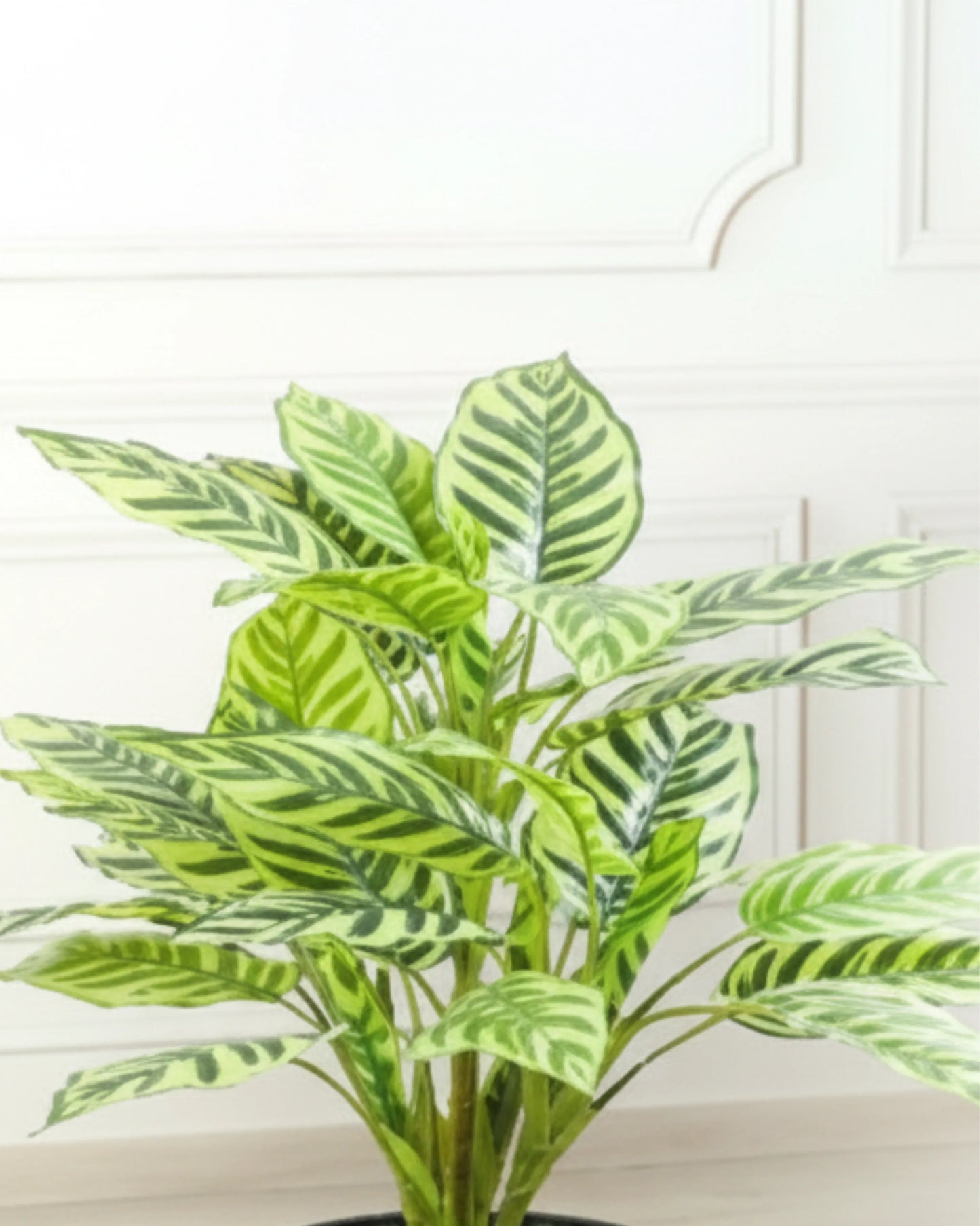 Artificial Peacock Plant 80cm without Pot