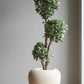 Artificial Topiary Plant with Fibre Reinforced Plastic Pot 150 cm