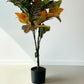 Artificial Croton With Pot 95cm