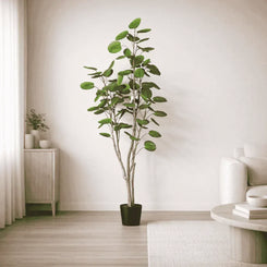Potted plant in a room with a neutral color scheme
