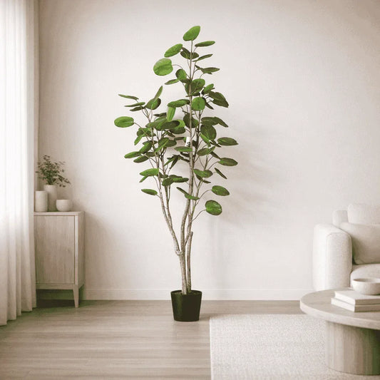 Potted plant in a room with a neutral color scheme