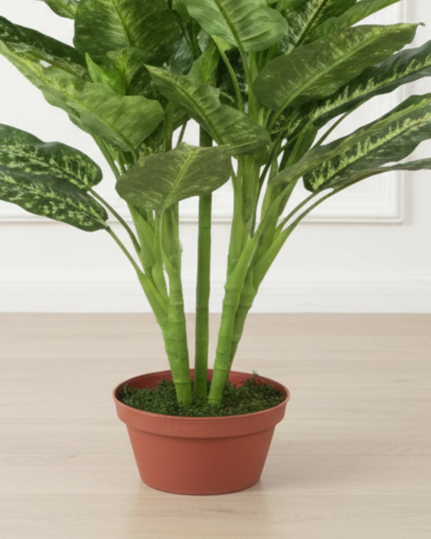 Artificial Dieffenbachia Yellow Plant 130cm