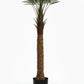 Artificial Date Palm Plant With Pot 180cm