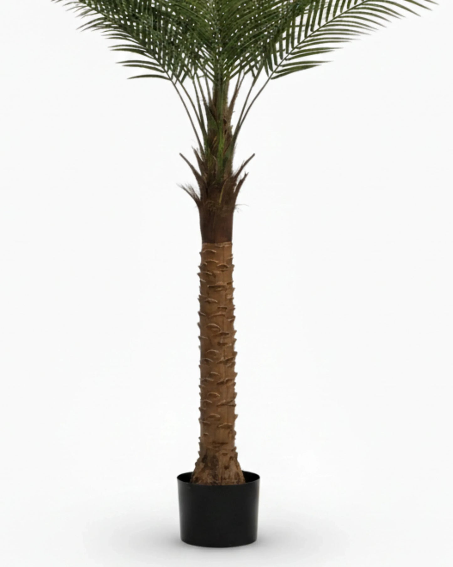 Artificial Date Palm Plant With Pot 180cm