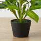 Artificial Spathe  Plant  Without Pot 80cm