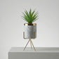 Artificial Secculent With Ceramic Pot & Metal Stand 25cm