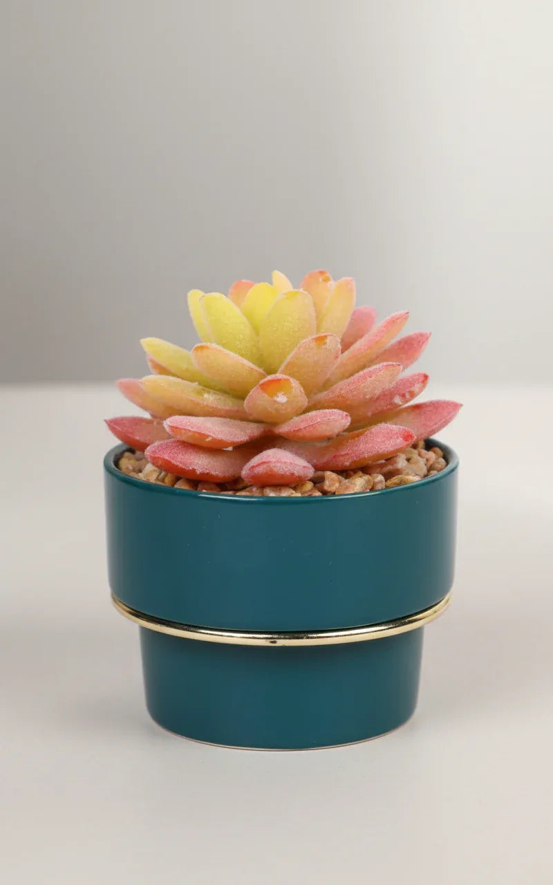 Artificial Succulent  With Ceramic Pot 25cm
