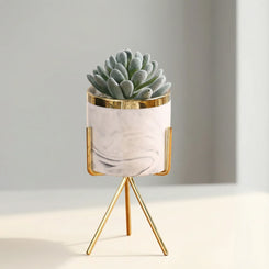 Artificial Succulent With Ceramic Pot 25cm