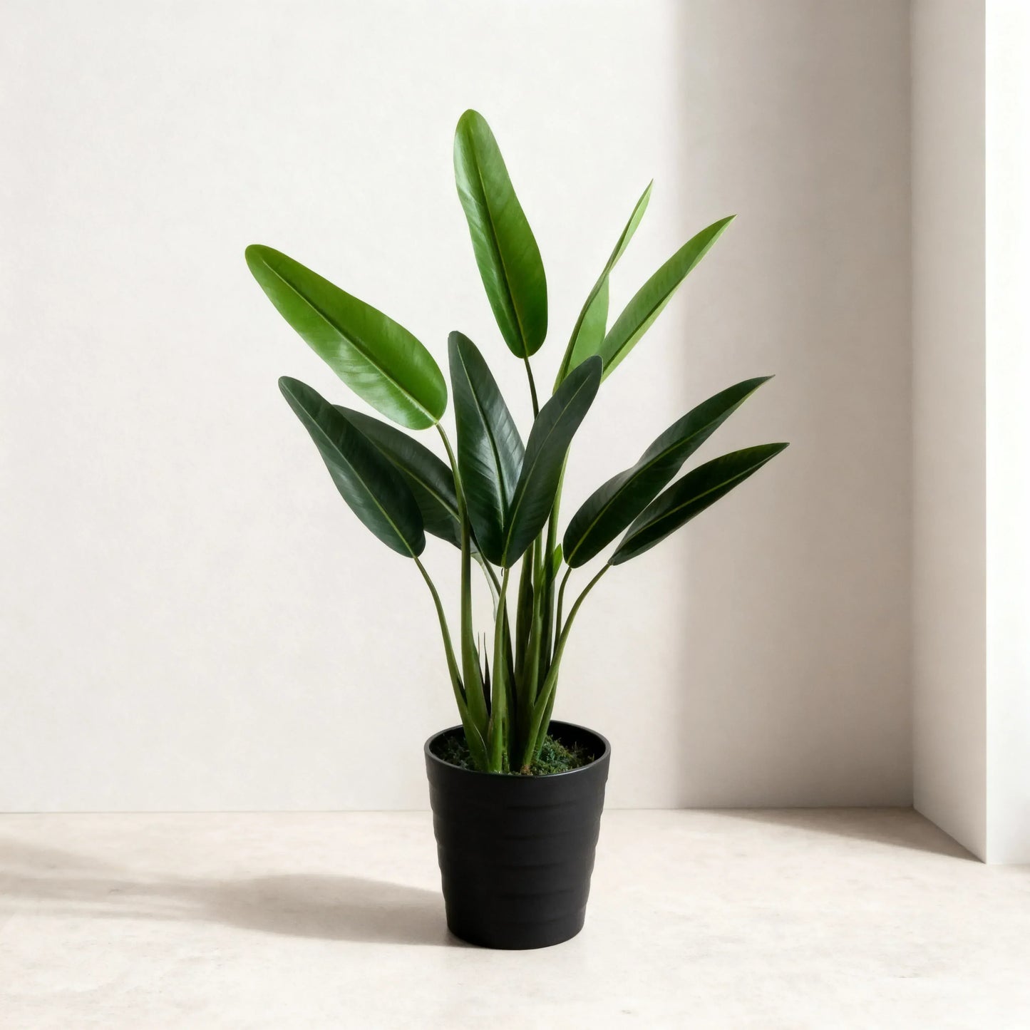 Artificial Bird Of Paradise X3 Plant Without Pot  140cm