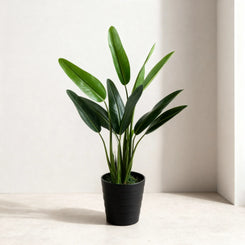 Artificial Bird Of Paradise X3 Plant Without Pot  140cm