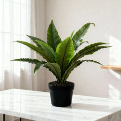 Artificial Bird Nest Plant With Pot 50cm