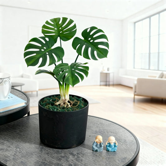 Artificial Monstera Deliciosa Plant Without Pot 60cm