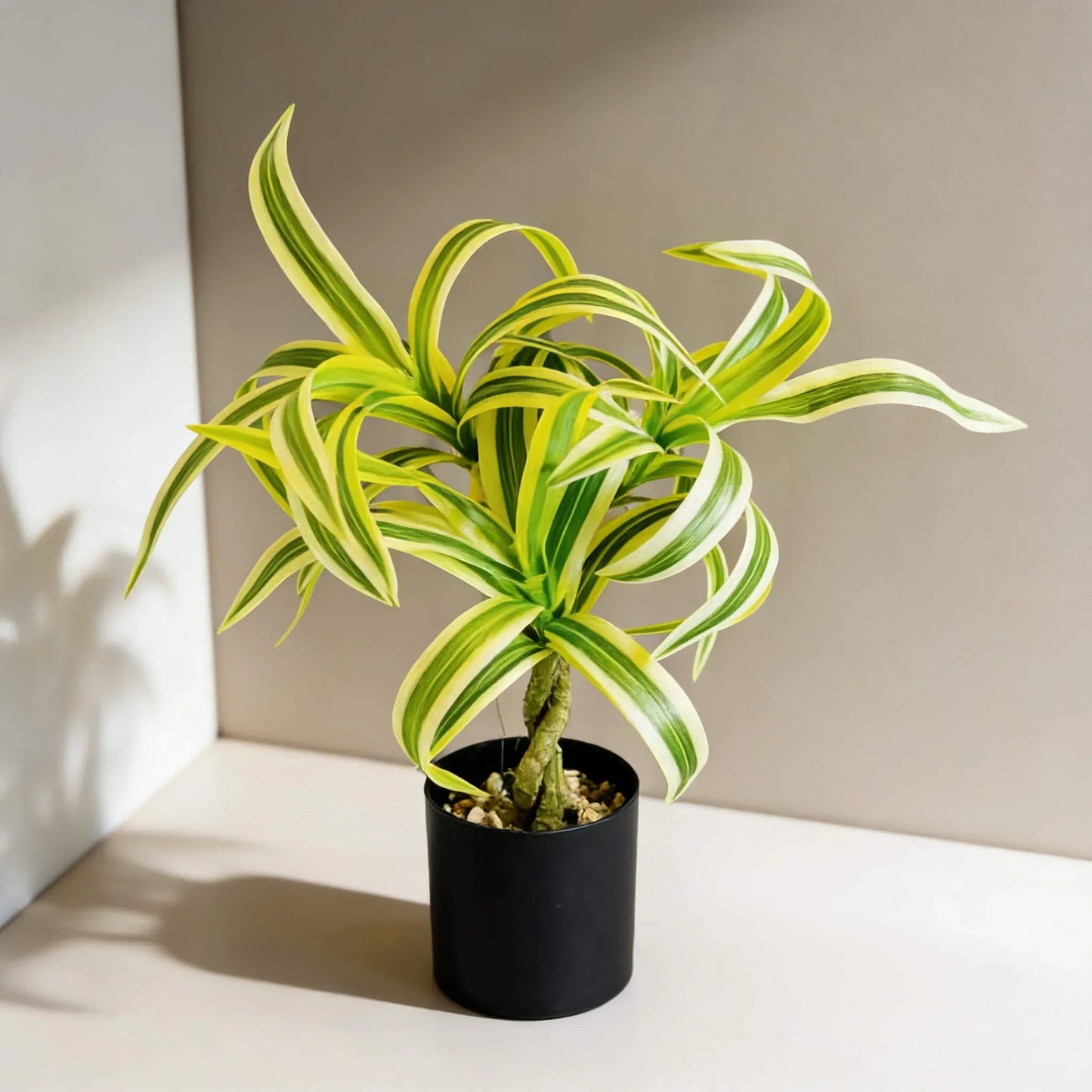 Artificial Dracaena Plant with Green & Yellow Leaves in Black Pot – Indoor Home & Office Decor 30cm