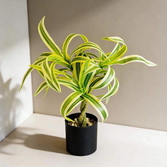 Artificial Dracaena Plant with Green & Yellow Leaves in Black Pot – Indoor Home & Office Decor 30cm