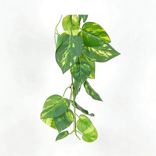 Artificial Money Leaf Bale 180 cm