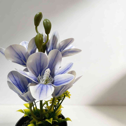 Blue flower