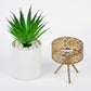 Artificial Succulent  With Ceramic Pot