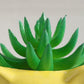 Artificial Succulent With Ceramic Pot 15cm