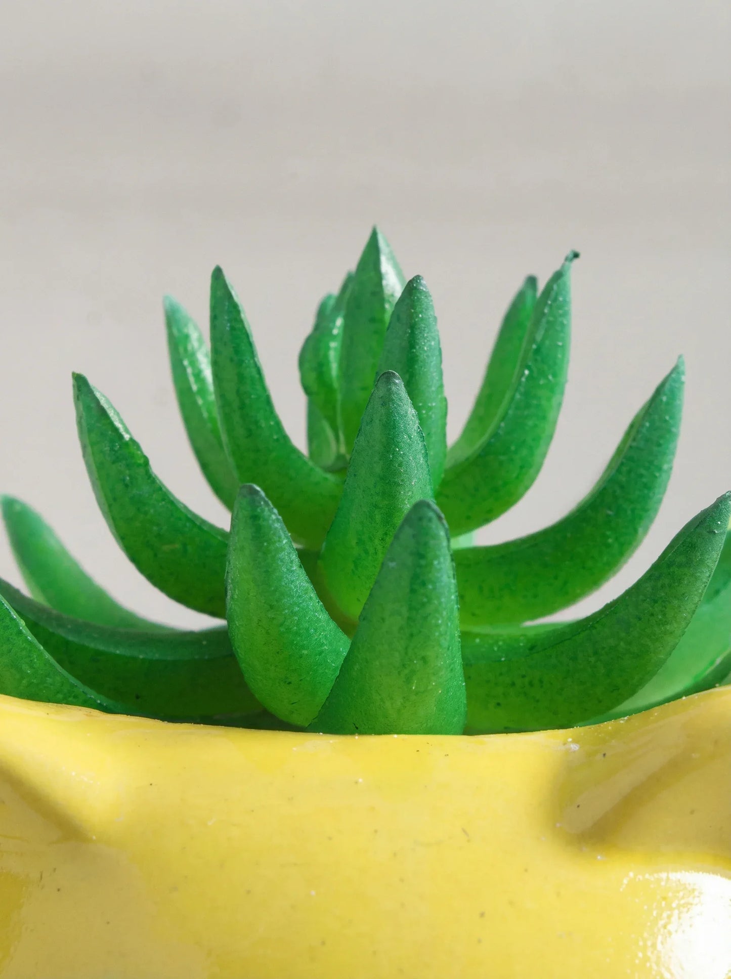Artificial Succulent With Ceramic Pot 15cm